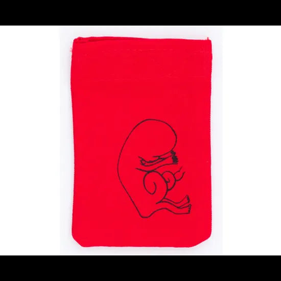 Stages of Pregnancy & Foetal Development - Interactive Set - Modern Teaching Aids NZ