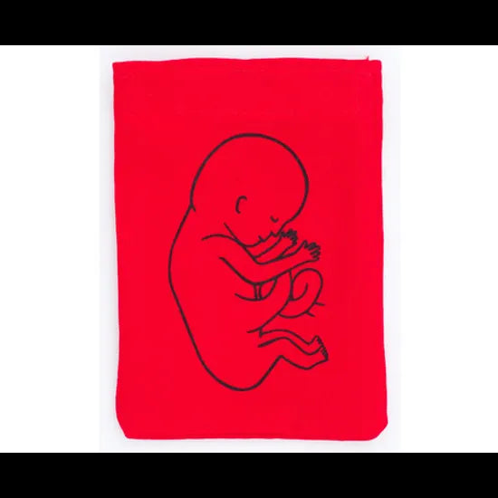 Stages of Pregnancy & Foetal Development - Interactive Set - Modern Teaching Aids NZ
