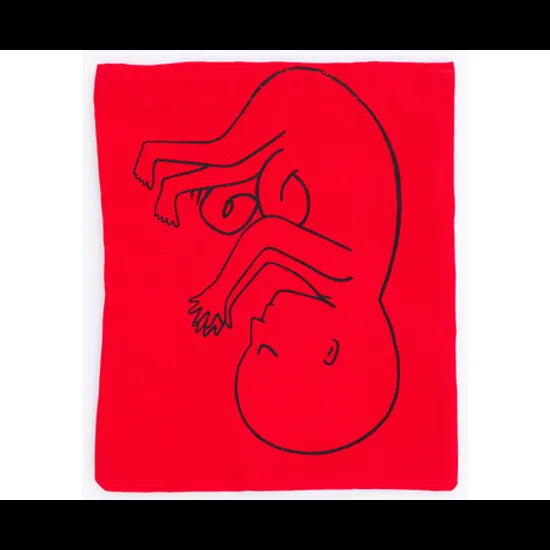 Stages of Pregnancy & Foetal Development - Interactive Set - Modern Teaching Aids NZ