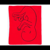 Stages of Pregnancy & Foetal Development - Interactive Set - Modern Teaching Aids NZ