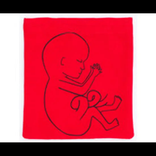 Stages of Pregnancy & Foetal Development - Interactive Set - Modern Teaching Aids NZ