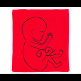 Stages of Pregnancy & Foetal Development - Interactive Set - Modern Teaching Aids NZ