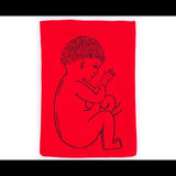 Stages of Pregnancy & Foetal Development - Interactive Set - Modern Teaching Aids NZ