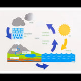 Magnetic Water Cycle Model - Modern Teaching Aids NZ