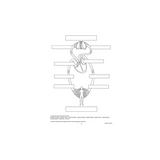 Magnetic Blood Circulation Model - Modern Teaching Aids NZ
