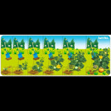 Tuzzles Plant Sequence Inset 6 Pieces - Modern Teaching Aids NZ