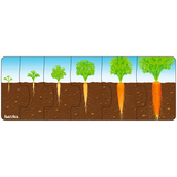 Tuzzles Plant Sequence Inset 6 Pieces - Modern Teaching Aids NZ