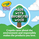 Crayola Round Coloured Pencils - Pack of 12 - Modern Teaching Aids NZ