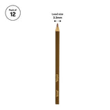 Crayola Triangular Colour Pencils - Pack of 12 - Modern Teaching Aids NZ