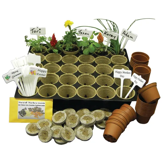 Enviro Grow Growing Kit  - Pack of 30 - Modern Teaching Aids NZ