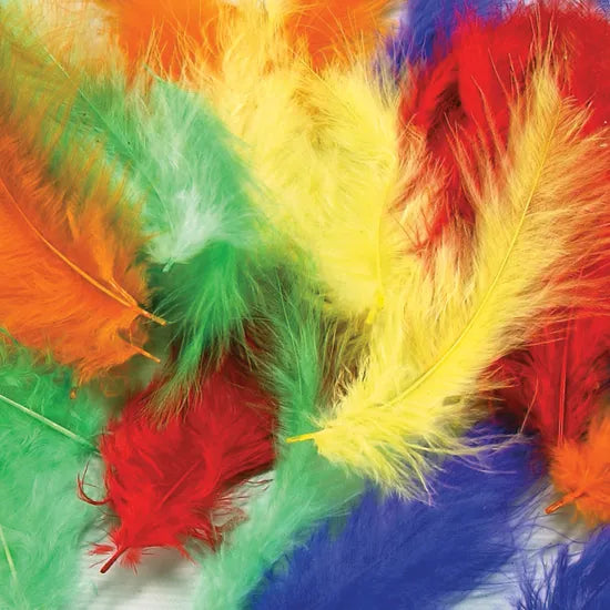 Creatistics Short Feathers - Pack of 50 - Modern Teaching Aids NZ