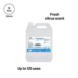 Cleangiene Sandpit Sanitiser - 5 L - Modern Teaching Aids NZ