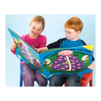 There Was An Old Lady Big Book - Modern Teaching Aids NZ