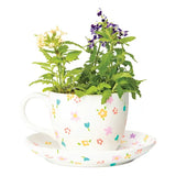 Porcelain Teacup Planter - Pack of 12 - Modern Teaching Aids NZ