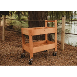 Outdoor Art & Craft Trolley - Modern Teaching Aids NZ