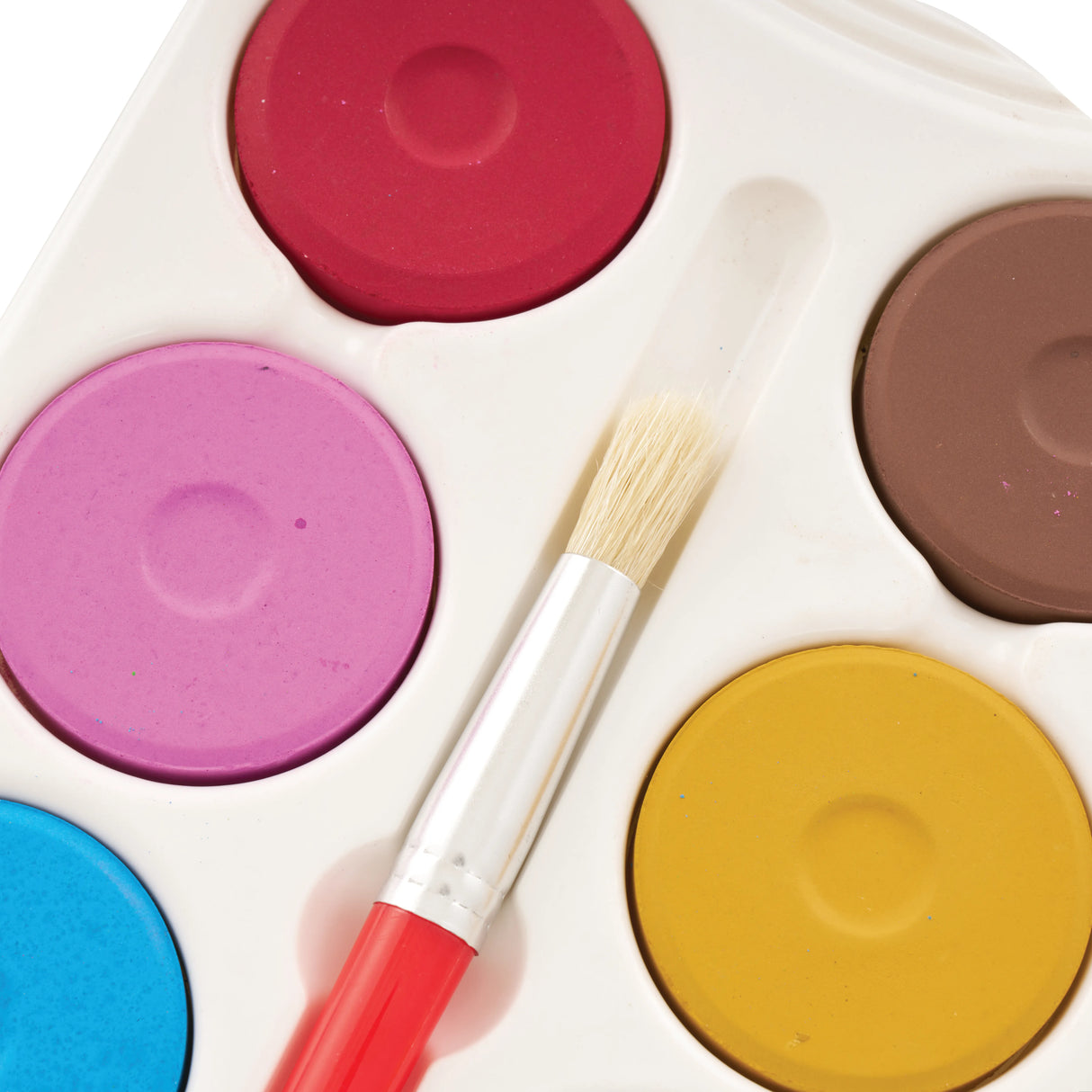 Earth Colours Poster Palette - 8 Colours - Modern Teaching Aids NZ