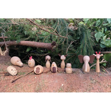 Wooden Animal Friends Set of 10 - Modern Teaching Aids NZ