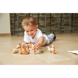 Wooden Enchanted Figures Set of 10 - Modern Teaching Aids NZ