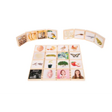 Wooden Lifecycle Tiles - Modern Teaching Aids NZ