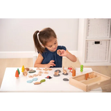 Woodland Trail Set of 37 - Modern Teaching Aids NZ