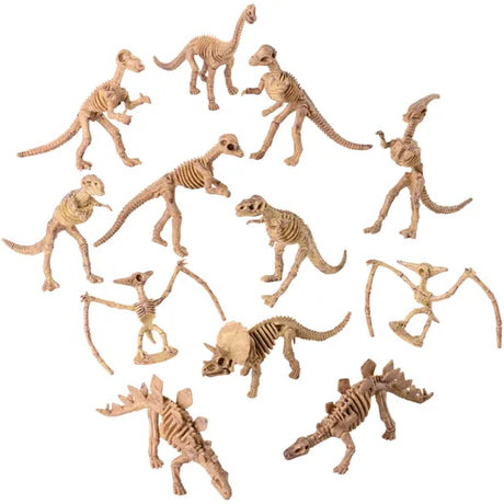 Skeleton Dinosaurs 12 Assorted - Modern Teaching Aids NZ