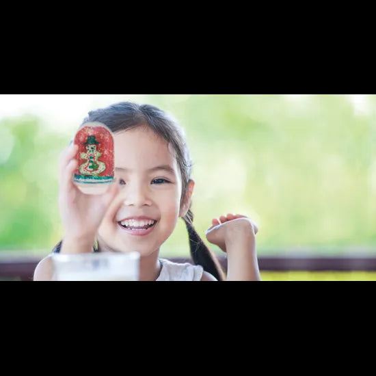 Snow Globe - Pack of 20 - Modern Teaching Aids NZ