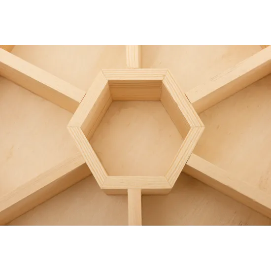 Hexagonal Sorting Tray - Modern Teaching Aids NZ