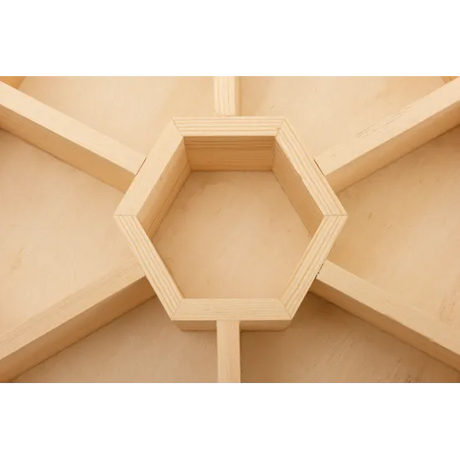 Hexagonal Sorting Tray - Modern Teaching Aids NZ