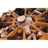 Flower Sorting Tray - 34cm - Modern Teaching Aids NZ