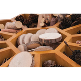 Flower Sorting Tray - 34cm - Modern Teaching Aids NZ