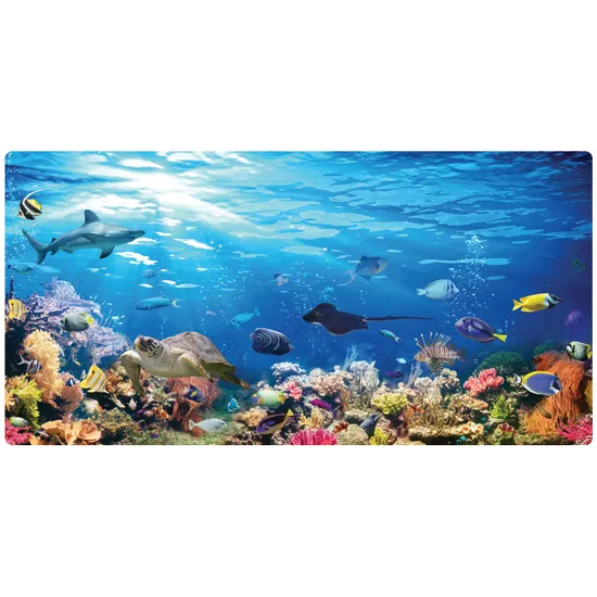 Under the Sea Role Play Background
