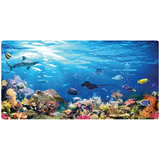 Under the Sea Role Play Background