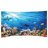 Under the Sea Role Play Background