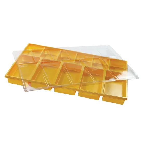 Teachables Money Tray - Plastic Organizer - Modern Teaching Aids NZ