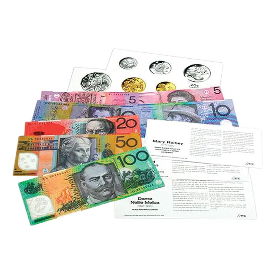 Big Money Cards - Set of 12 - Modern Teaching Aids NZ