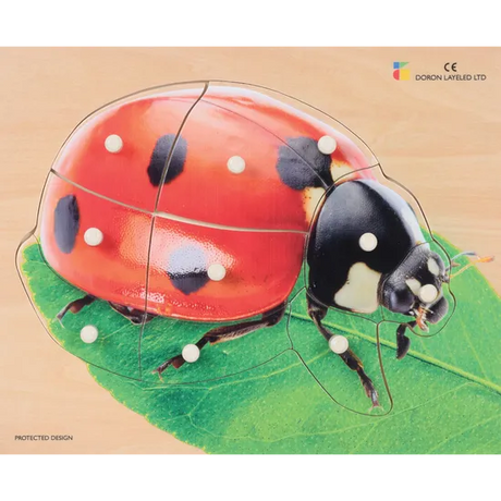 Ladybird Knob Puzzle 10pcs - Modern Teaching Aids NZ