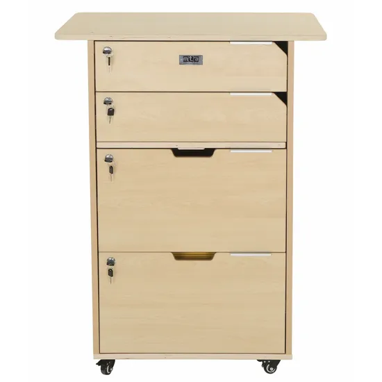 Ergerite - Teacher Pod - Modern Teaching Aids NZ