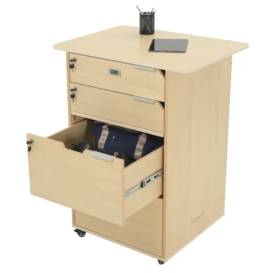 Ergerite - Teacher Pod - Modern Teaching Aids NZ