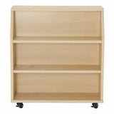 Ergerite Mobile Library Shelf Unit