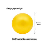 Budget PVC Balls - 18.5cm