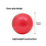 Budget PVC Balls - 22.5cm