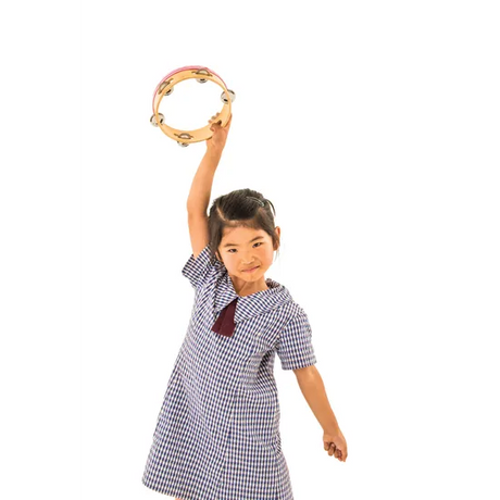 Tambourine - Single Jingles 18cm - Modern Teaching Aids NZ