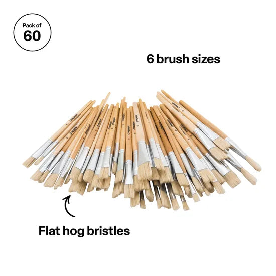 Flat Brushes - Pack of 60 - Modern Teaching Aids NZ