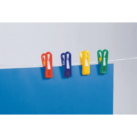 Painting Pegs - Pack of 12 - Modern Teaching Aids NZ