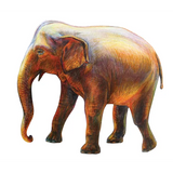 Lyra Giant Skintone Pencils - Pack of 12 - Modern Teaching Aids NZ