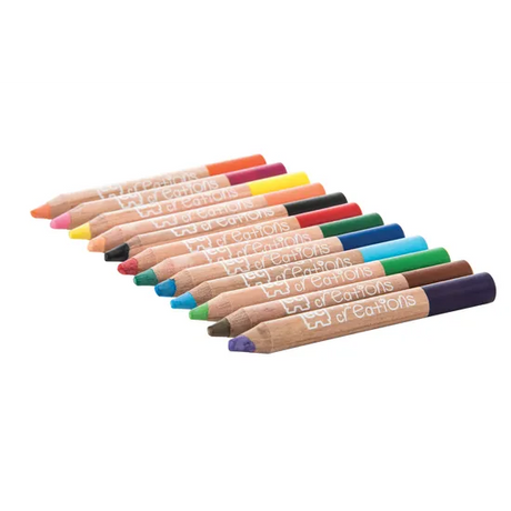 Easi-Grip Watercolour Pencils - Pack of 12 - Modern Teaching Aids NZ