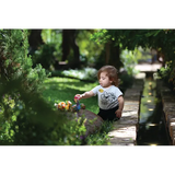 Pull Back Animal Pals - Set of 6 - Modern Teaching Aids NZ