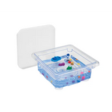 Fun2 Play Activity Tray & Clear Lid - Modern Teaching Aids NZ