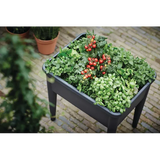Green Basics Grow Table XXL Living Black - Modern Teaching Aids NZ