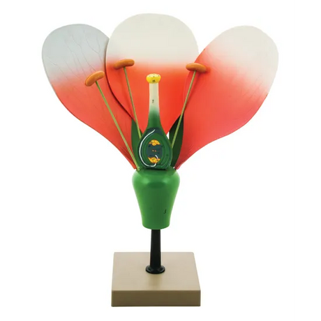 Typical Flower Model - Dissectable - Modern Teaching Aids NZ